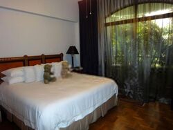 Tanglin Park (D10), Condominium #399794681